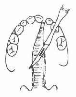 �ʿ�������϶��Ե