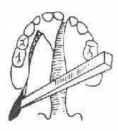 �����ù���