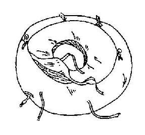 ������Ȧ