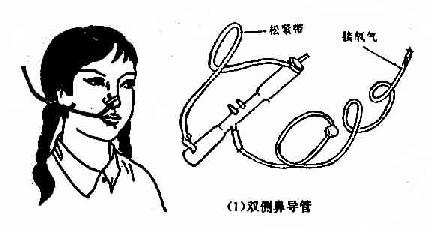 �ǵ��ܽ����̶���