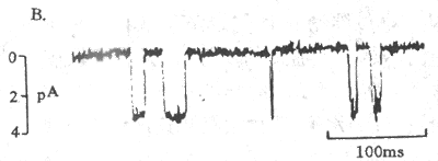 ĤƬǯʵ�鲼��ʾ��ͼ