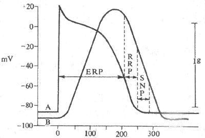 ���Ҽ�������λ�ڼ��˷��Եı仯�������е�����Ĺ�ϵ