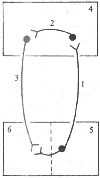 ������״�廷·ʾ��ͼ
