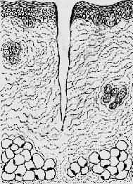 ��Ե���룬��֯�ƻ���