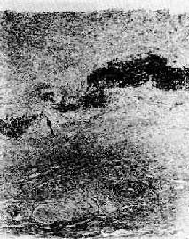 �߰���������