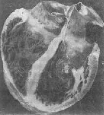 �������ļ���