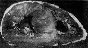 �ʺ����ļ���