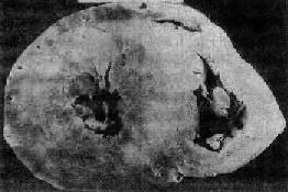 �ʺ����ļ���