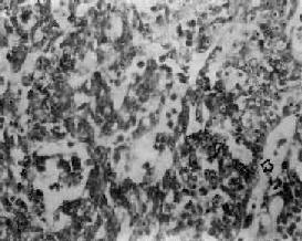 ���ʵͷֻ���<a href=