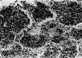 Сϸ����<a href=