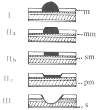����θ<a href=