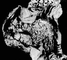 Ϣ����θ<a href=