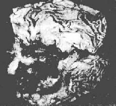 ������θ<a href=