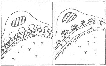 ��С������ԭλ���߸������γɻ���ʾ��ͼ