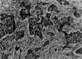 �����Ե���<a href=