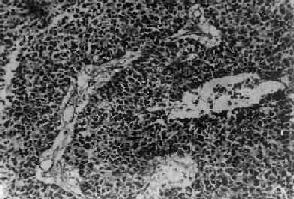 ��������<a href=