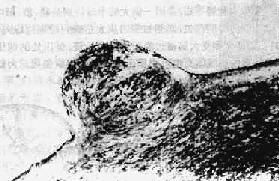 �������ҹ�Ĥ��