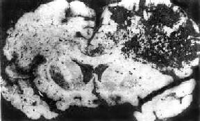 ���Ի�����<a href=