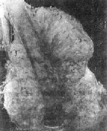 Ӳ���Թ���<a href=