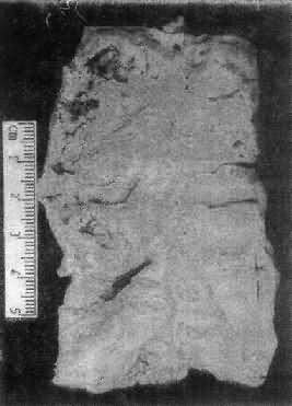 �᳦���԰��װ�<a href=