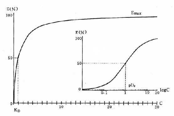 ҩ�����õ���Ч��ϵ����