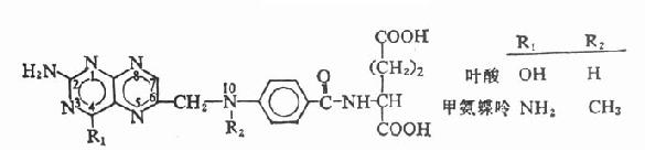 �װ�����