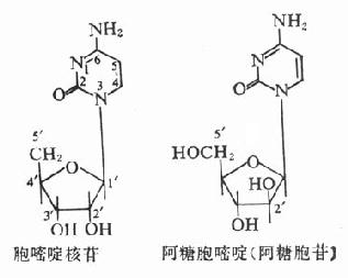 ���ǰ���