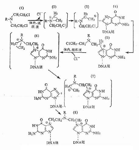 ����Ϊ�����黯���ú�DNA��������ʾ��ͼ